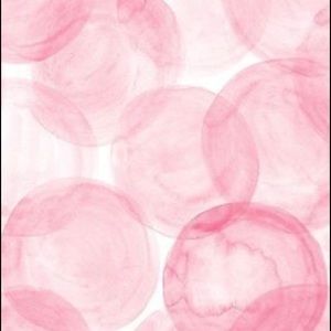 Meet your Posher, Allie